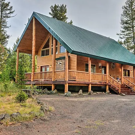Island Park Cabin With Stunning Forest Views!